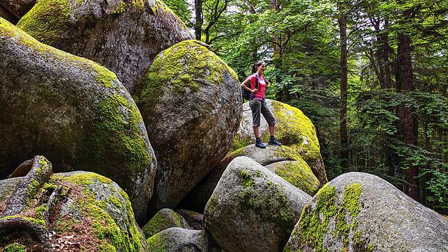 Beeindruckend: Die Günterfelsen, haushohe Granitfelsen nahe der Donauquelle.