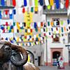 Noch hängen die bunten Wimpel in der Kaiserstraße nicht, doch die Vorbereitungen auf das Hochrhein-Narrentreffen in Waldshut laufen bereits.