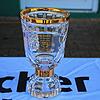 Am Donnerstag 8. Juni geht es in Geisingen um diese begehrte Bezirkspokal-Trophäe. Am kommenden Mittwoch werden die Finalisten ermittelt.
