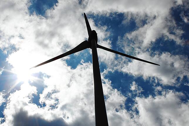 Bild 1: Seltene Vögel sollen Windkraft nicht mehr bremsen: Umweltschutzverbände fordern bei den Naturschutztagen 2022 einen konsequenten Ausbau von Windkraftanlagen