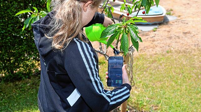 Eine Idee von Smart Green City sind &bdquo;schlaue (Schul-)Gärten&ldquo;. Bodenfeuchtsensoren sollen den Schülern die Gießnotwendigkeit ...