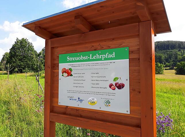 Der Streuobst-Lehrpfad in Wehr soll aufgewertet werden.