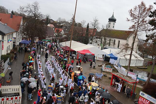 Bild 16: Großer Festumzug in Möggingen: Tausende besuchen das Seenarrentreffen trotz Regen!