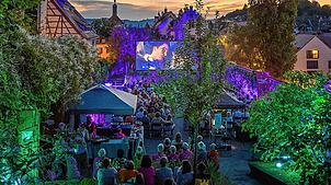 Romantische Abendstimmung beim Freiluftkino in den Rosenobelgärten. Das Sommerkino hat sich fest etabliert. Archivfoto: ÜMT/Lena Kaltenbach
