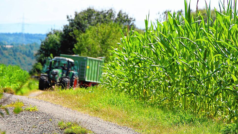Der Traktor auf diesem Symbolbild gehört keinem Schweizer Landwirt. In den grenznahen Landkreisen ist es aber nicht selten, dass ...