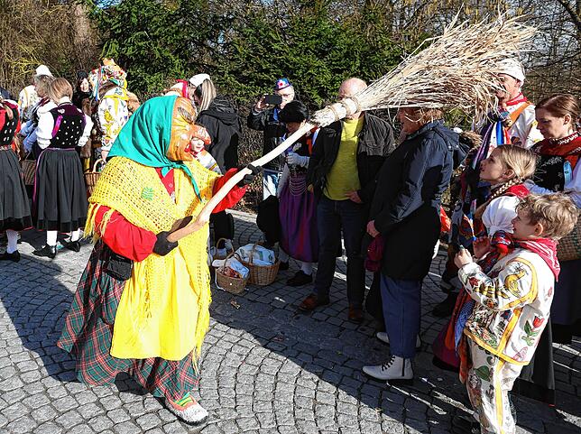 Bild 4: Narren erobern Donaueschingen: Die besten Bilder vom Umzug 2025
