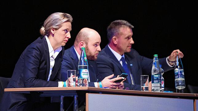 Alice Weidel, AfD-Fraktionsvorsitzende im Bundestag, Markus Frohnmaier (AfD), Bundestagsabgeordneter, und Martin Hess (AfD), ...