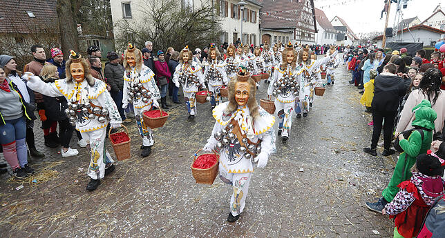 Bild 5: Bilder zum großen Narrentreffen in Pfohren (4)