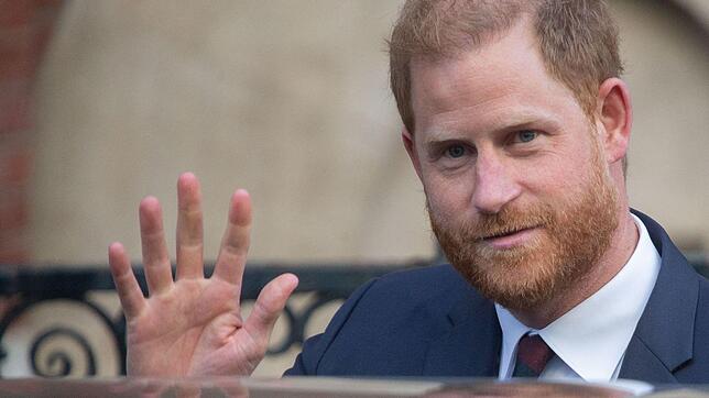 Prinz Harry hat es laut einer belgischen Prinzessin nicht leicht.