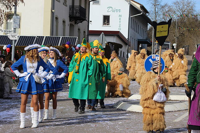Bild 16: Strahlendes Wetter und glückselige Narren in Ühlingen. Wir haben alle Bilder (2)
