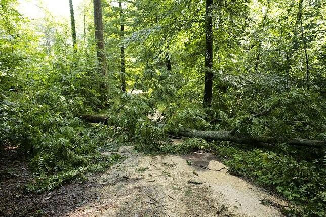 Bild 6: Schweres Unwetter in Konstanz: Als sich ein Abend anfühlte wie ein Weltuntergang