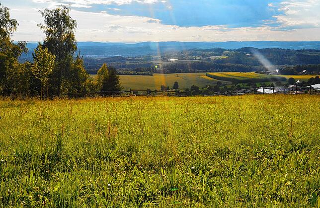 Linzgau-Blick