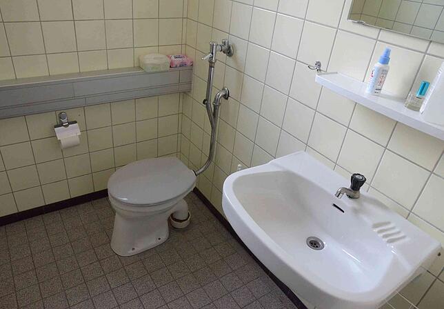 Den Charme der 1960er-Jahre verströmen die WCs im Rathaus. Heutigen Erwartungen genügen sie bestimmt nicht. Und sie sind auch nicht für ...
