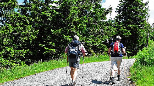 Wandern ist als Freizeit- und Urlaubsaktivität in diesem Jahr so beliebt wie seit langem nicht.