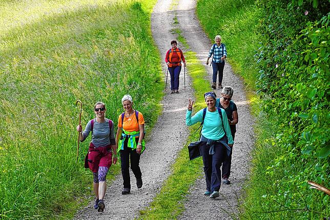 Bild 31: 180 Teilnehmer beim 42-Kilometer-Wandermarathon: Das sind die Bilder