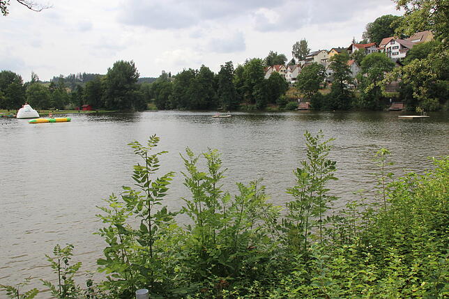 Der Klosterweiher.