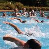Bessere Bedingungen für Schwimmer wird es nach Abschluss der Sanierung des Schwimmerbeckens in Bad Säckingen geben. Aus Stuttgart gibt ...