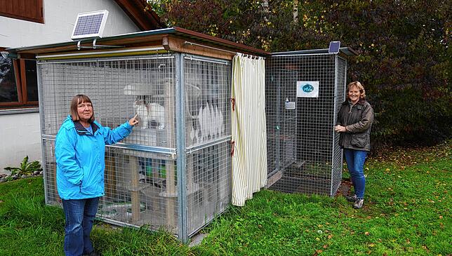 Im Katzengehege werden die Samtpfoten gepflegt, bis sie wieder gesund sind. Annemarie Hendricks (links) und Dorothea Heaton freuen sich ...