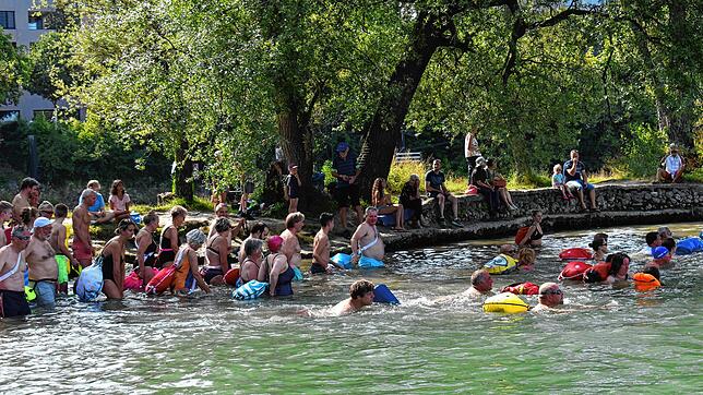 Ab ins Wasser: 205 Teilnehmer stürzen sich in Rheinfelden in die Rheinfluten. Bei angenehmer 21-Grad-Wassertemperatur legen die ...