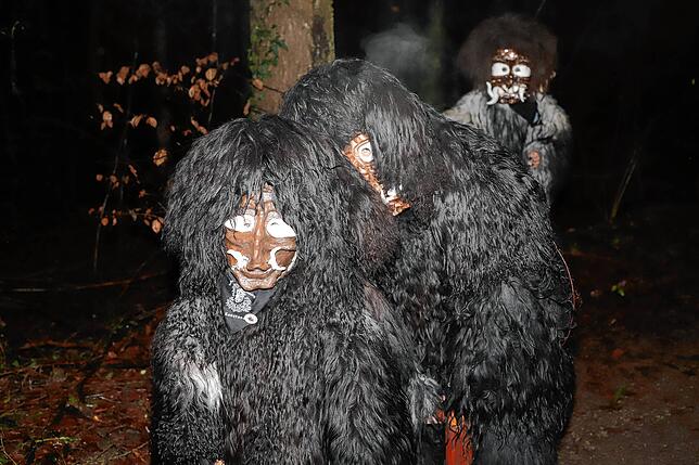 Bild 22: Schneeschreck und Riedhexen tanzen am Feuer &ndash; Alle Bilder vom Fasnachtsauftakt in Wollmatingen