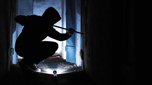 Ein bislang Unbekannter ist nach Polizeiangaben in eine Tierarztpraxis in der Owinger Straße eingebrochen. Ein Zeuge erwischte den Mann, ...