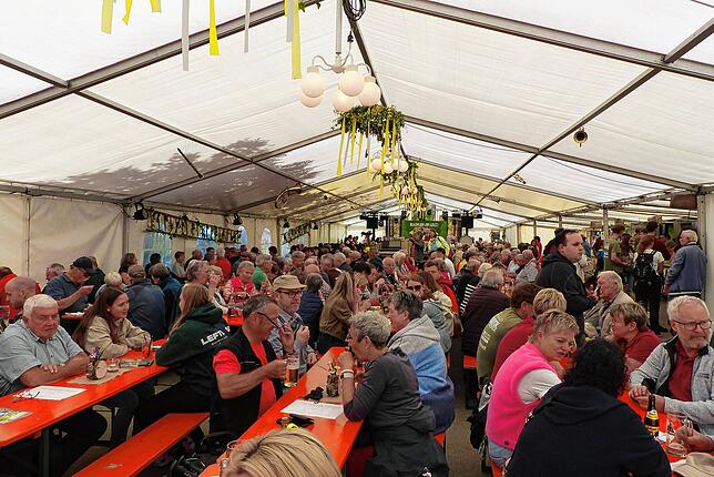 Bild 11: Bezirksmusikfest in Riedern am Wald - Musikverein feiert 160-jährige Jubiläum
