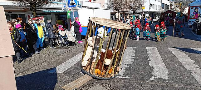 Bild 11: Die besten Fotos vom Fasnetsumzug in Tiengen