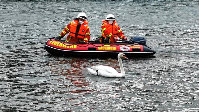 Das Rettungsboot der Bad Säckinger Feuerwehr.
