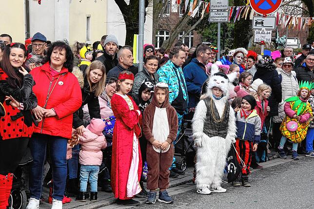 Bild 11: Fasnets-Umzug der Poppelezunft in Singen &ndash; Teil 1