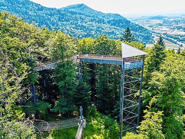 Der Baumkronenweg in Waldkirch ermöglicht es, den Wald aus einer anderen Perspektive zu erleben.
