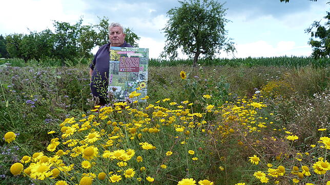 Landwirt Edgar Bäurer bietet auf dieser Wiese Bienen reichlich Nahrung an.