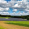 Der Solarpark Leibertingen 2 erzeugt seit August 2019 Strom. Die BAG beteiligt sich mit einem Nachrangdarlehen.