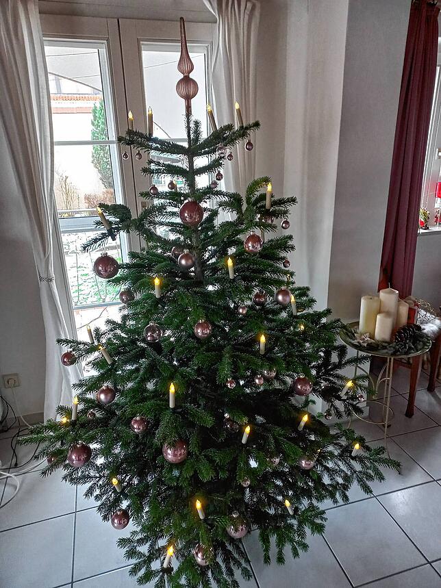 Bild zwei: Er träumte von der Weihnachtszeit, von Lichtglanz und von Fröhlichkeit. Der Weihnachtsbaum von Peter Blaser festlich geschmückt.