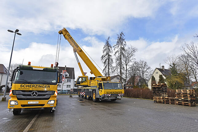 Bild 2: Den Baum am Haken: In Haus gekrachter Baum in der Donaueschinger Straße wird mit dem großem Kran entfernt