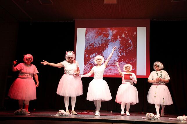 Bild 15: Bilder vom Bunten Abend der Narren Eggingen in der Gemeindehalle