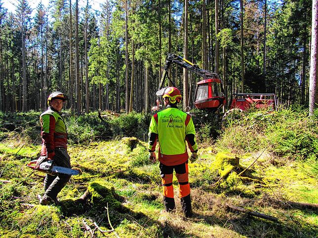 Waldarbeiter Jonas Netzer (links) und Reinhardt Russilow arbeiten mit Herbert Gabele, der den Vollernter bedient.