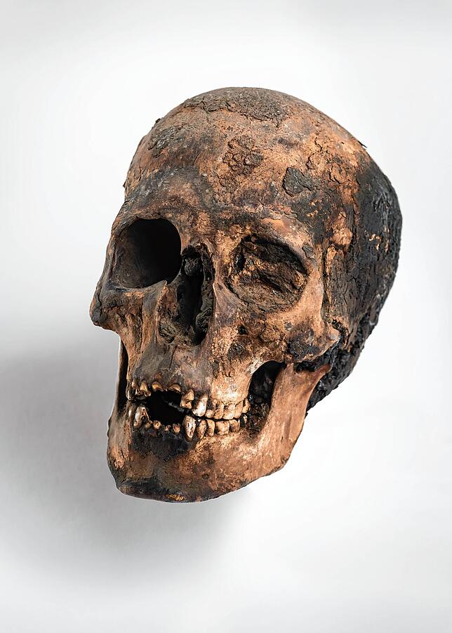 Ein Relikt der Pharaonenzeit ist es ohne Zweifel. Doch wem genau dieser Kopf aus dem alten Ägypten gehörte, liegt im Dunkeln.