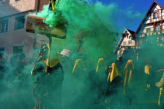 Bild 3: Die schönsten Bilder vom Umzug in Meßkirch (2)