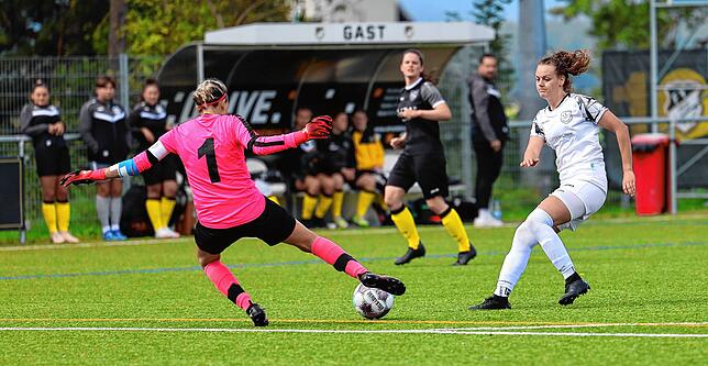 Bild 1: Unsere Bildergalerie vom 7:0-Sieg der SG Marbach gegen die SG Neukirch/Hammereisenbach