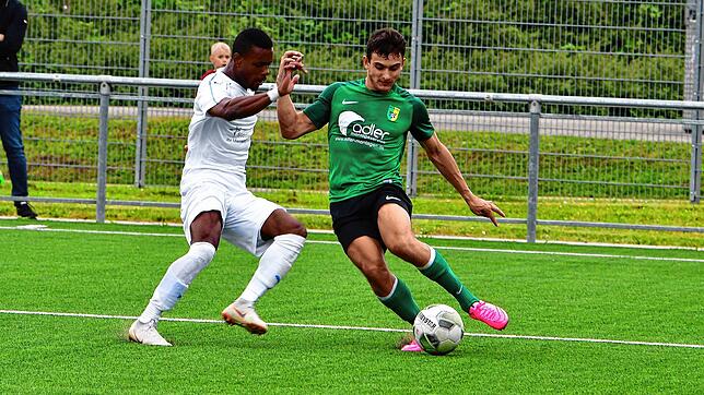 Doppeltorschütze Alessio Lo Russo (SV Herten, rechts) hatte mit seinen zwei Treffern einen großen Anteil am 3:0-Heimsieg gegen den VfB ...