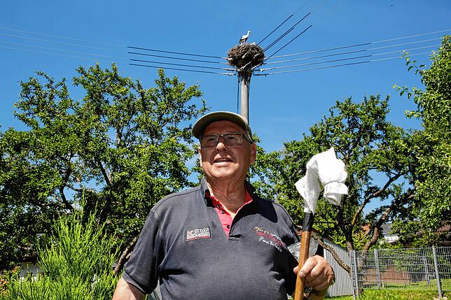 Storchenvater Wolfgang Schäfle macht sich seit Jahren für den Schutz der imposanten Vögel im Kreis Konstanz stark.