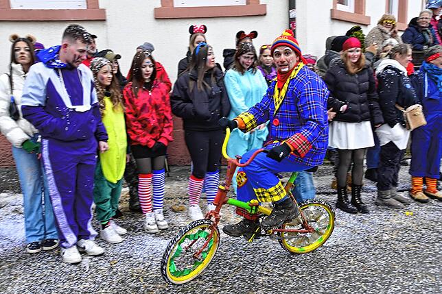 Bild 11: 75 Gruppen beim Fasnachtsumzug in St. Georgen: Wir haben die Bilder