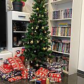 Der Weihnachtsbaum der Familie Vivekachandran.