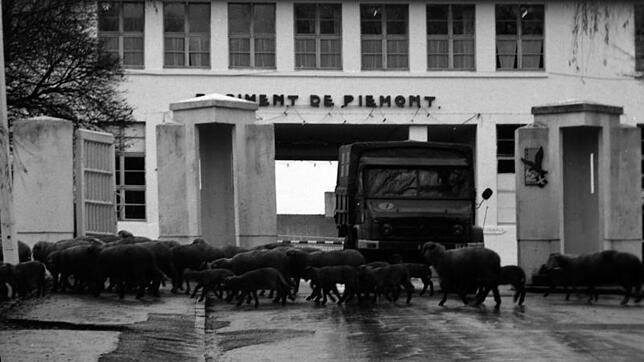 Die Schafherde vor der Ausfahrt deutet es an: Jetzt herrschen wieder friedliche Zeiten. Die ehemalige SS-Kaserne dient nach dem Krieg ...