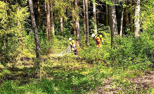 Feuerwehreinsatz bei der Grillhütte Bumbis. Die Polizei schreibt von einer in Brand gesetzten Fläche von 400 Quadratmeter.