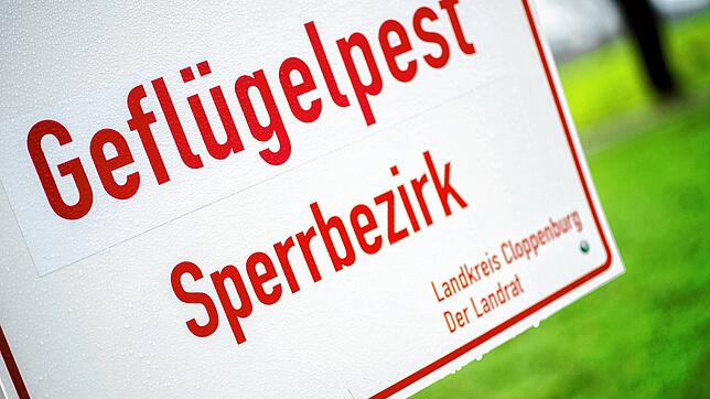 Ein Schild mit der Aufschrift &bdquo;Geflügelpest Sperrbezirk&ldquo;.