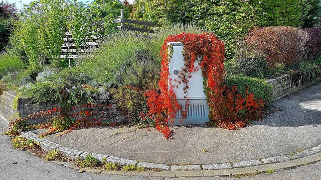 Herbstlicher Stromkasten Nähe Ludwig-Herr-Straße.
