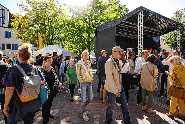 Bild 3: Bilder vom Altstadtfest in Radolfzell (1/2)