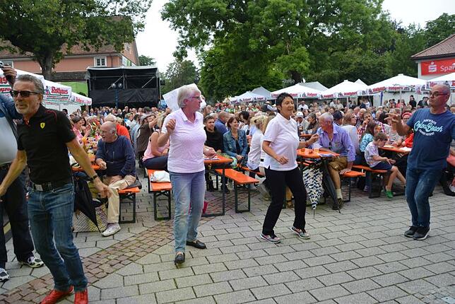 Bild 15: 15. Sommersinnfonie: Alle Bilder vom Frühschoppen mit der Joe Williams Band