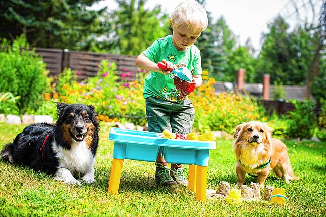 Wer einen Garten hat und auch noch Hunde, hat es leichter, sein Kind spielen zu lassen.